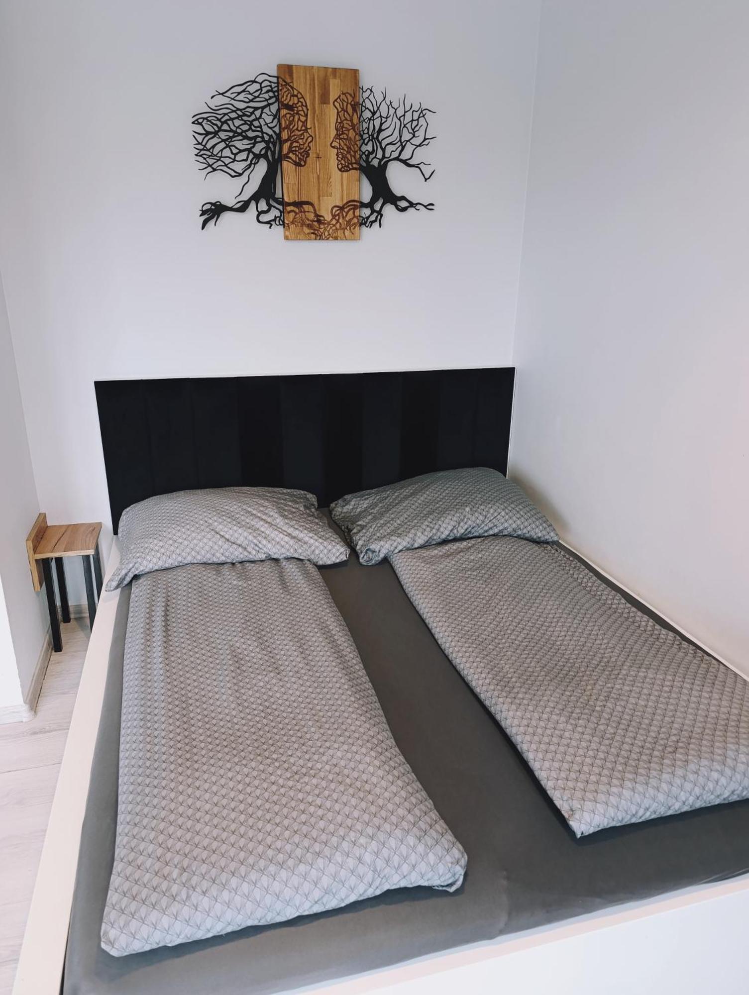 D2 * Štetín